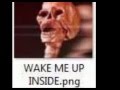 Wake Me Up Inside