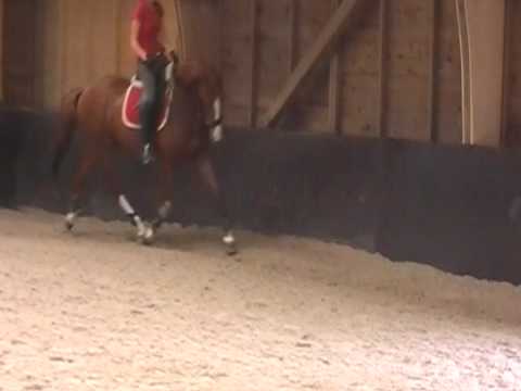 Donnie.. Don schufro x Cocktail 22-08-2010