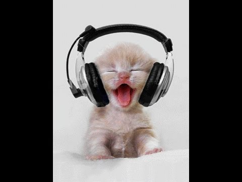 PSYLO - La musique au centre des rêves !!!! --- MIX Hardtek-Tribe-Tribecore