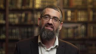 סרט קמפיין - מוסדות ישיבת צפת -"ונבנתה עיר"
