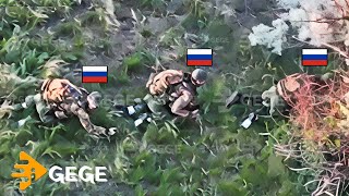 Destroyed Without Warning — Ukraine’s Most Brutal Drone Ambush Yet