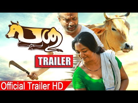 Thumbnail for video: Passu malayalam movie Trailer 2017 | Malayalam Movie Passu Official Trailer Thumbnail for video: Passu malayalam movie Trailer 2017 | Malayalam Movie Passu Official Trailer