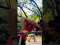 Learn How To Dip Right Tha Best Way To Do Dips Tricep Dip Vs Chest Dips JaFitness345 Motivation