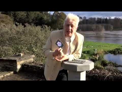 The Purple Light, Absolution and Transcendence by Stuart Wilde