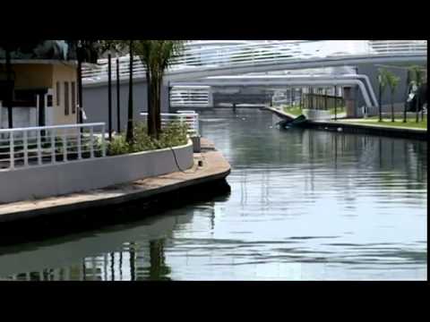 download lagu mp3 mp4 Cocodrilo En Playa Miramar, download lagu Cocodrilo En Playa Miramar gratis, unduh video klip Cocodrilo En Playa Miramar