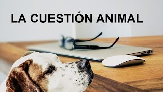 La cuestión animal