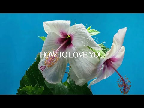 Tuimi - How To Love You (Official Lyric Video)