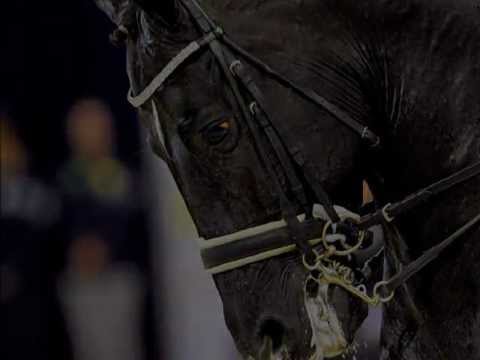 Totilas - Wenn Erfolg blendet!