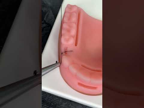 🔥Punto Simple de SUTURA DENTAL 🪡🦷🔥