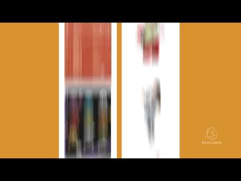 PUB TV TNT EXACOMPTA par la voix française La Voix d'EL