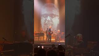 Il costume da torero - #brunorisas #live #napoli #live #music 26/03/2025