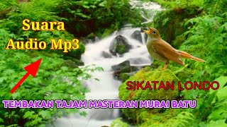 Download lagu SUARA SIKATAN LONDO || MENGERIKAN ROL TEMBAKAN TAJAM MASTERAN MURAI BATU & BURUNG YANG LAINNYA !!! mp3 Download lagu SUARA SIKATAN LONDO || MENGERIKAN ROL TEMBAKAN TAJAM MASTERAN MURAI BATU & BURUNG YANG LAINNYA !!! mp3