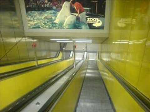 Akut06 - Die Realität feat. Dilia-Na