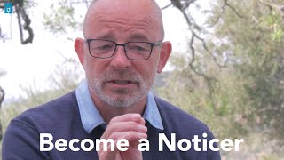 Become A Noticer