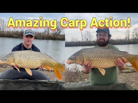 Warmer Water Temps Producing Bigger Carp! (Tidal Carp Fishing)