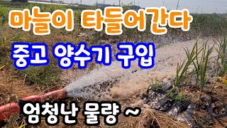 타들어가는 마늘밭 중고 양수기로 한방에 해결 대~박