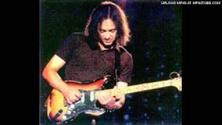 Wayne Krantz-One Of Two