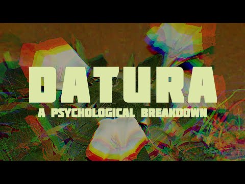 Datura: Exploring The Mind (An In-Depth Analysis)