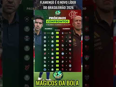 Novo líder do Brasileirão #futebol #palmeiras #saopaulo #flamengo #bahia #vasco #inter #cruzeiro #tv