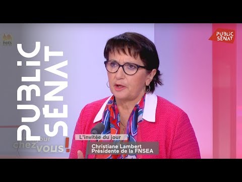 Best Of Bonjour Chez Vous !  Invitée politique : Christiane Lambert (24/10/19)