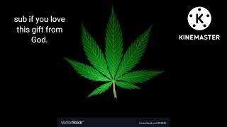 Godsmack: sweet leaf