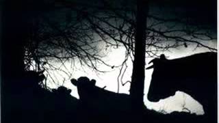 Pascal Lamour   Les vaches vont parler à minuit