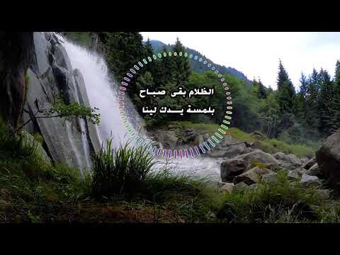 ⁣21 Aaref - عارف