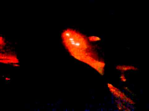 IVANOVCI TOMAŠANACI