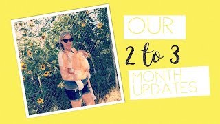 2 to 3 month postpartum update!