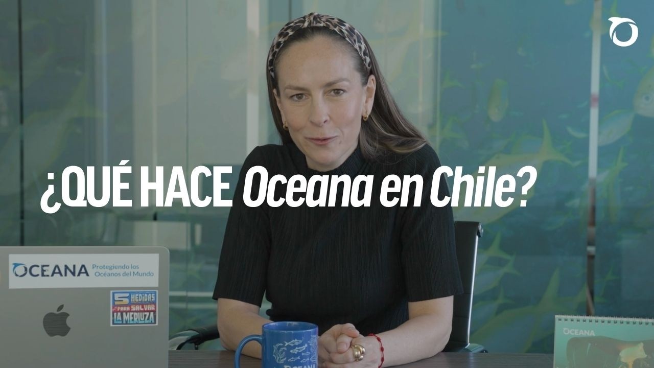 ¿Qué hace Oceana en Chile?