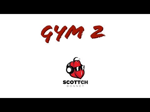 GYM Dancehall Mix(Bruk Out) Vybz Kartel, Mavado, RDX, Busy Signal, Beenie Man, Charley Black,Aidonia
