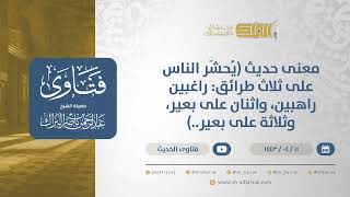 صورة معنى حديث (‌يُحشَر ‌الناس ‌على ‌ثلاث ‌طرائق: راغبين راهبين، واثنان على بعير، وثلاثة على بعير.(12776)