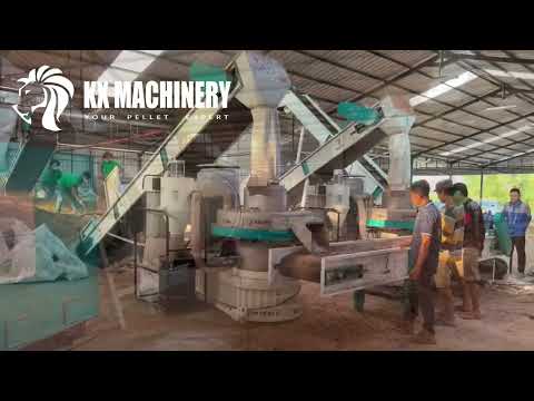 Biomass Wood Pellet Plant High Capacity Wood Pellet Production Line#pelletmachine #pelletplant