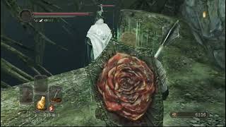 【ダークソウル2】ダクソ2 久しぶりに攻略 Part.4