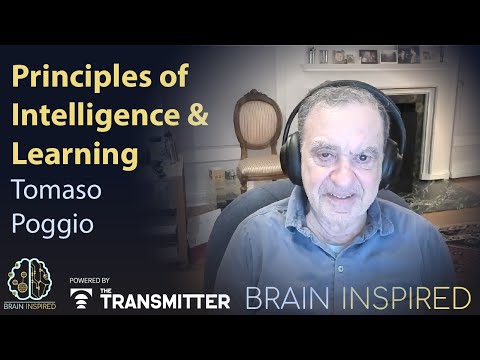 BI 229 Tomaso Poggio: Principles of Intelligence and Learning