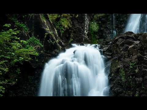 Top Hits 2020 💯 TOP 40 Popular Songs Playlist 2020 💯 Best English Music Collection 2020  # Top