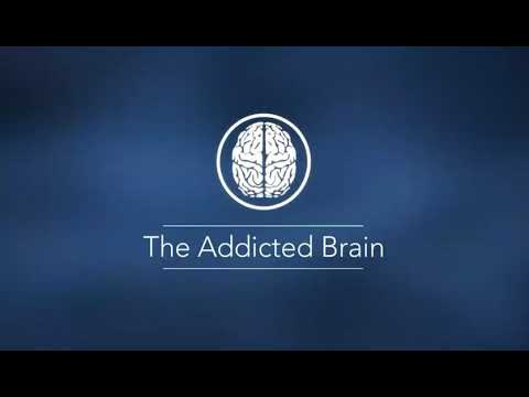 Lesson 4. Poliakova Elizaveta