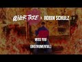 Oliver Tree & Robin Schulz - Miss You (Official Instrumental)