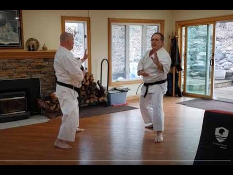 Home Shotokan Karate Training - March 7th 2021 - U of M Shotokan Karate Club