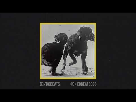 [FREE] "Rottweiler" || fler x elias x kalim type beat | prod. by kobeats | Instrumental 2019