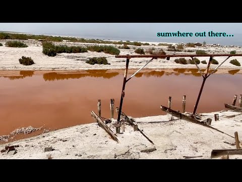Desert Shores of the Salton Sea Solo Roadtrip to California's Forgotten Coastline