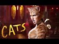 Cats Trailer 1