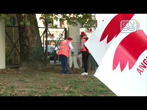 10 ANNI CON GLI ANGELI DEL BELLO