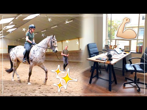 Politie op stal & kantoor opruimen! | felinehoi WEEKVLOG #264/1