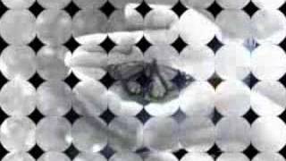 Clutching - Typecast