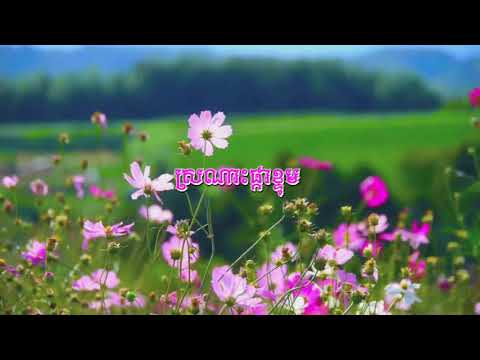 បទ ស្រណោះផ្កាខ្ទុម​ ច្រៀងដោយលោក ប៊ុន ធឿន Sr nos phka khtum