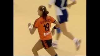 De Nederlandse Handbal Visie