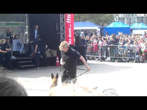 Polizeihund Show FFN Hannover Jan Zerbst