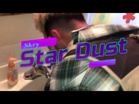 Skry - StarDust (Music Video)