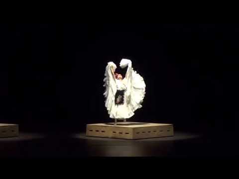 La Morena - Ballet Folklórico de México de Amalia Hernández